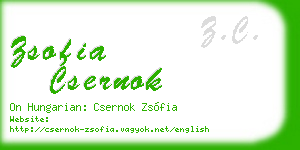 zsofia csernok business card